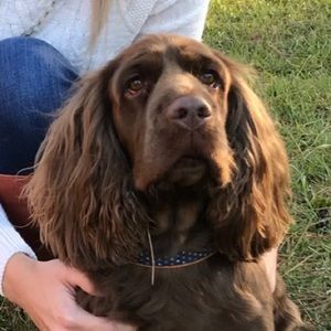 Meet your Posher, Elizabeth